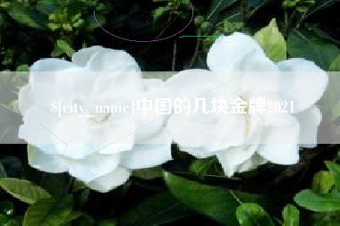 萍乡中国的几块金牌2021