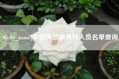 萍乡中国失信被执行人员名单查询