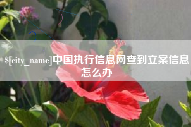 萍乡中国执行信息网查到立案信息怎么办