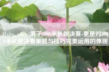 萍乡男子5000米长跑决赛-更是对5000米长跑决赛策略与技巧完美运用的体现