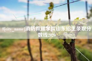 萍乡消防救援学院山东招生录取分数线2020
