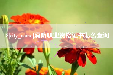 萍乡消防职业资格证书怎么查询