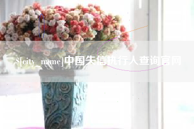 萍乡中国失信执行人查询官网