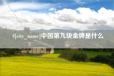 萍乡中国第九块金牌是什么