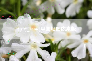 萍乡中国地图像素版