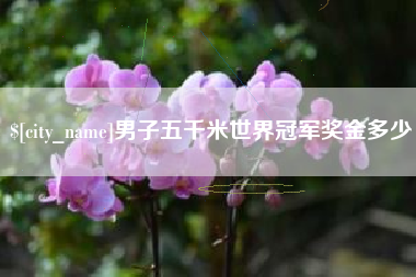萍乡男子五千米世界冠军奖金多少