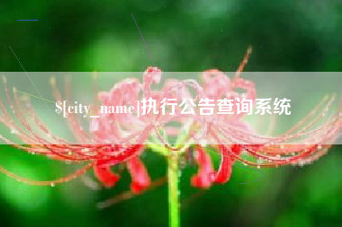 萍乡执行公告查询系统