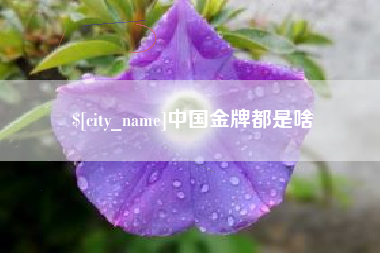 萍乡中国金牌都是啥