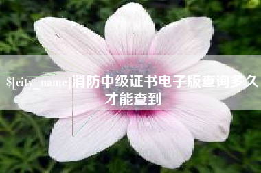 萍乡消防中级证书电子版查询多久才能查到