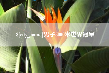 萍乡男子5000米世界冠军