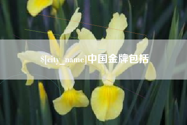 萍乡中国金牌包括