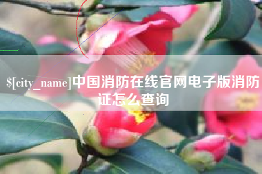 萍乡中国消防在线官网电子版消防证怎么查询