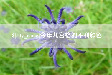 萍乡今年九宫格的不利颜色