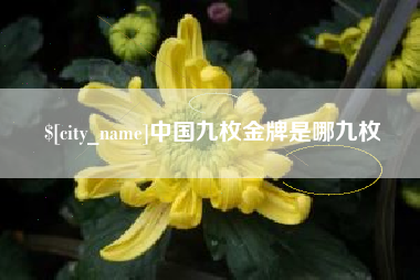 萍乡中国九枚金牌是哪九枚