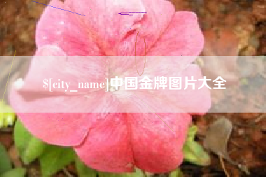 萍乡中国金牌图片大全