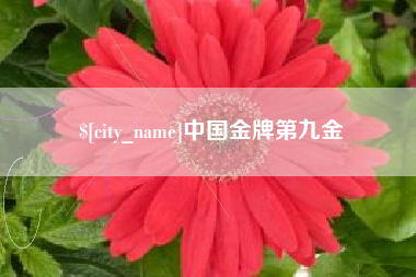 萍乡中国金牌第九金
