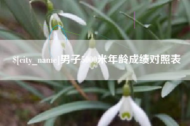 萍乡男子5000米年龄成绩对照表