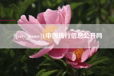 萍乡1.中国执行信息公开网