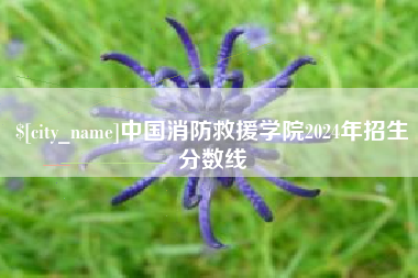 萍乡中国消防救援学院2024年招生分数线