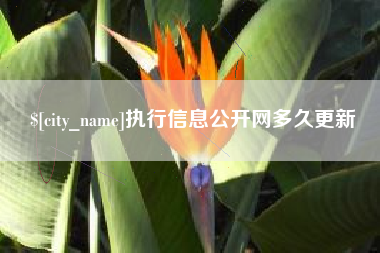 萍乡执行信息公开网多久更新