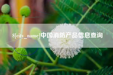萍乡中国消防产品信息查询
