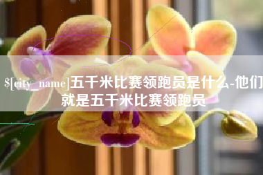 萍乡五千米比赛领跑员是什么-他们就是五千米比赛领跑员