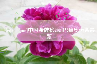 萍乡中国金牌榜2024巴黎奥运会最新