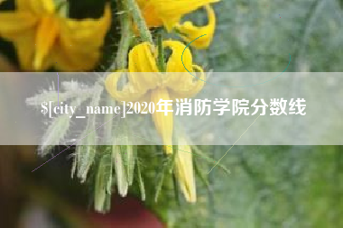 萍乡2020年消防学院分数线