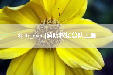 萍乡消防救援总队王星
