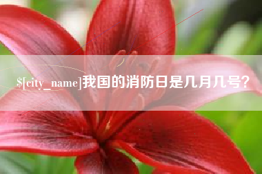 萍乡我国的消防日是几月几号？