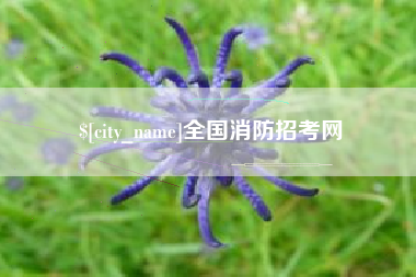 萍乡全国消防招考网