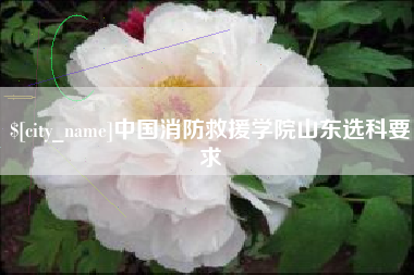 萍乡中国消防救援学院山东选科要求