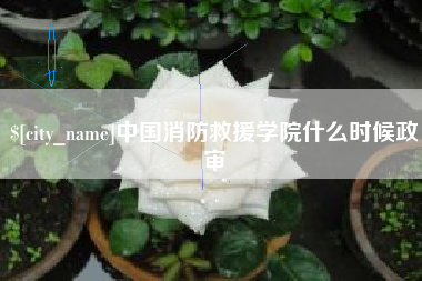 萍乡中国消防救援学院什么时候政审