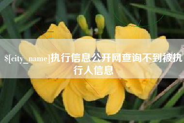 萍乡执行信息公开网查询不到被执行人信息