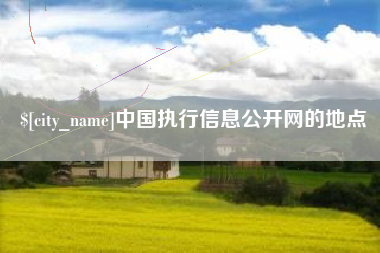 萍乡中国执行信息公开网的地点