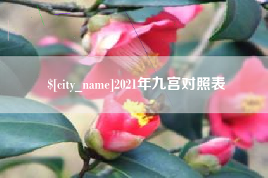 萍乡2021年九宫对照表