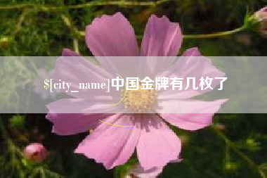 萍乡中国金牌有几枚了