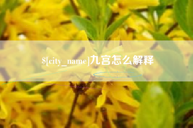 萍乡九宫怎么解释