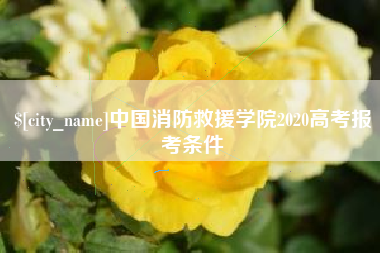萍乡中国消防救援学院2020高考报考条件