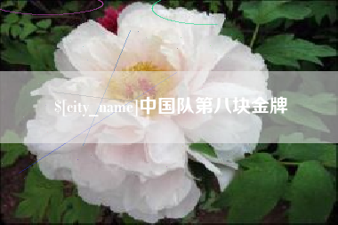 萍乡中国队第八块金牌