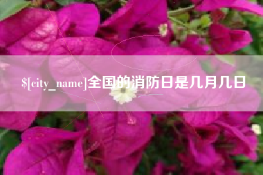 萍乡全国的消防日是几月几日