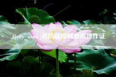 萍乡消防证国网查询操作证