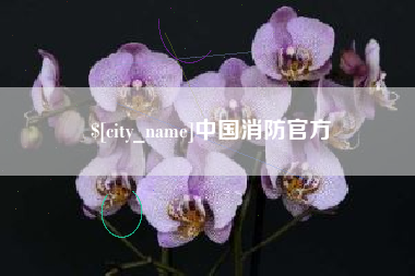 萍乡中国消防官方