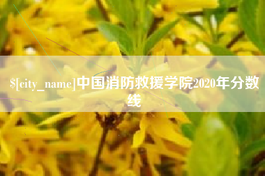 萍乡中国消防救援学院2020年分数线