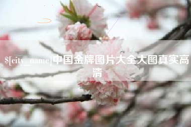萍乡中国金牌图片大全大图真实高清