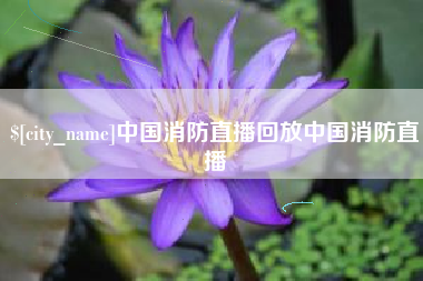 萍乡中国消防直播回放中国消防直播