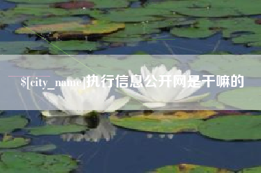 萍乡执行信息公开网是干嘛的