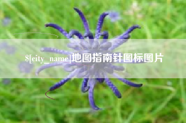 萍乡地图指南针图标图片