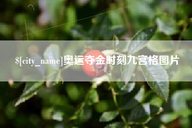 萍乡奥运夺金时刻九宫格图片