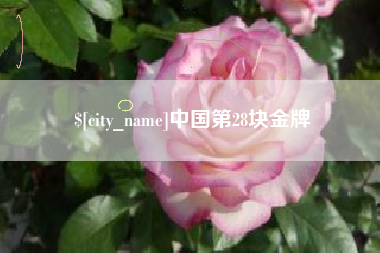 萍乡中国第28块金牌